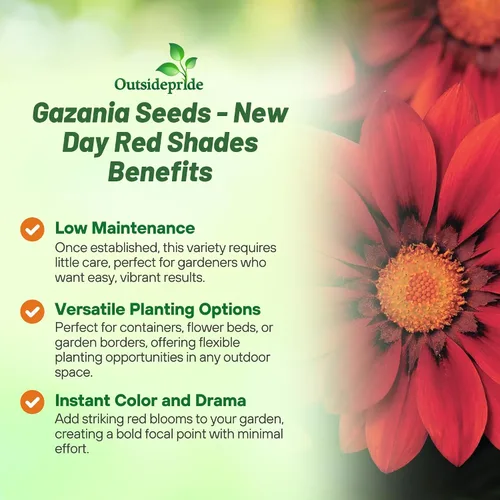 Vista 3 de Outsidepride 25 semillas perennes Gazania Red Shades tolerantes al calor y la sequía semillas de cobertura del suelo para plantar