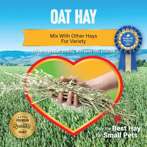 Vista 5 de Small Pet Select Alimento para mascotas con heno de avena, 10 libras.