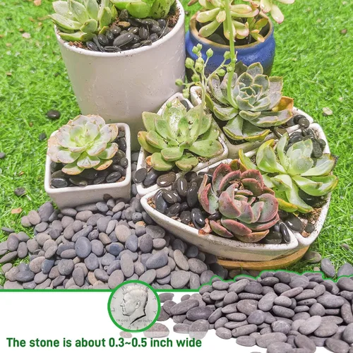 Vista 3 de Piedras de río de 2.4 libras para plantas y suculentas, paisajismo decorativo al aire libre y rocas de jardín de acuarios