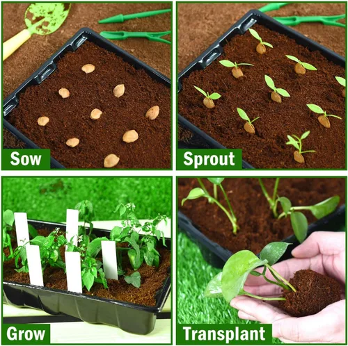 Vista 6 de YoleShy Paquete de 5 bandejas de inicio de semillas con cúpula reutilizables de plástico para cultivo de plantas con cúpulas de humedad espesadas