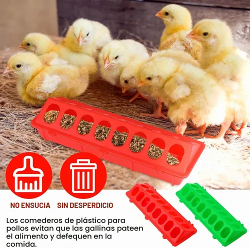 Vista 6 de Comedero de codornices de plástico con tapa abatible, rojo, verde