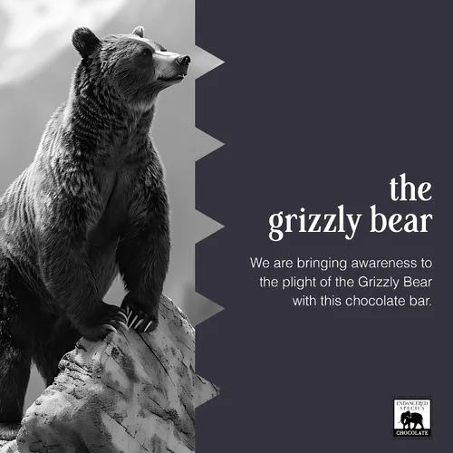Vista 10 de Endangered Species Chocolate Bar Grizzly Frambuesa oscura, 3 oz
