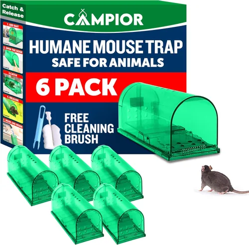 Vista 12 de Campior Trampa Humana para Ratones para Casa – Grande, Trampas para Ratones Sin Matar para Interiores para el Hogar, Trampa para Ratas y Ratones
