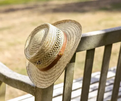 Vista 7 de Dorfman Pacific Co.Sombrero Rush Gambler para hombre