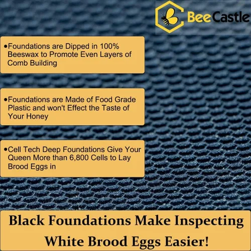 Vista 4 de BeeCastle 8 marcos Langstroth Bee Hive recubierto con cera de abejas, incluye marcos de colmena y bases enceradas