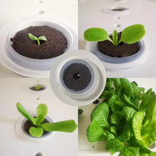 Vista 6 de Paquete de 100 esponjas de crecimiento, esponjas hidropónicas compatibles con Aerogarden, iDOO