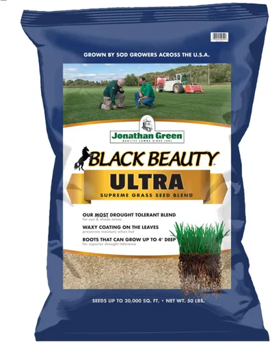 Vista 13 de Semillas de césped Jonathan Green Black Beauty