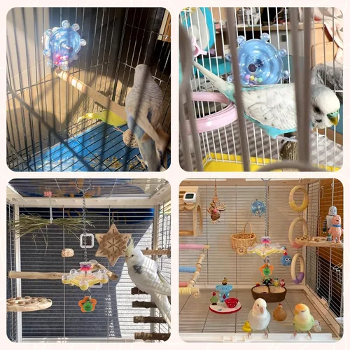 Vista 6 de 2 piezas de juguetes para pájaros para loros, juguetes masticables