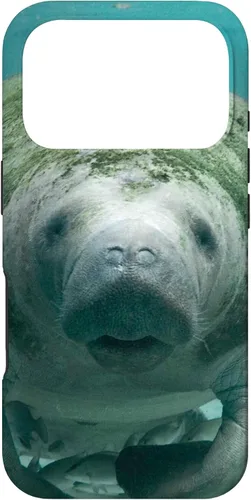 Vista 30 de Manatee Case for iPhone 17