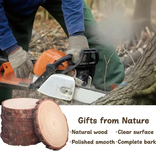 Vista 3 de 10 piezas de rebanadas de madera sin terminar de 6 a 8 pulgadas para centros de mesa, redondas de madera natural para manualidades, decoración