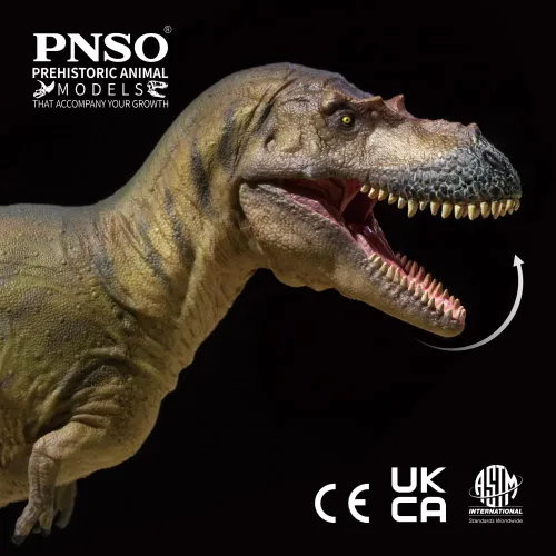 Vista 6 de PNSO Modelos de dinosaurios prehistóricos (72 Wally The Albertosaurus)