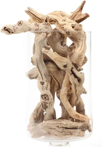 Vista 8 de Koyal Wholesale Decoración de relleno de jarrón de madera de pomelo natural, ramas de relleno de jarrón a granel de 2.2 libras para terrarios, kits
