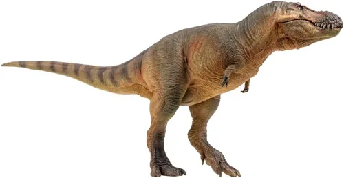 Vista 16 de PNSO Modelos de dinosaurios prehistóricos: 41 Pérez el Machairoceratops