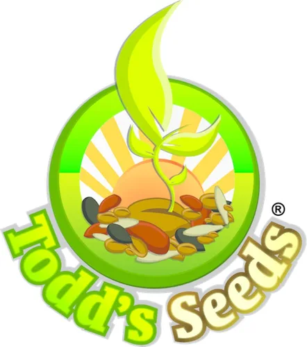 Vista 7 de Todd's Seeds Hierba de trigo roja dura - 10 libras - Planta y cultiva pasto de trigo, harina, grano y pan - Jugo de pasto de trigo - Semillas