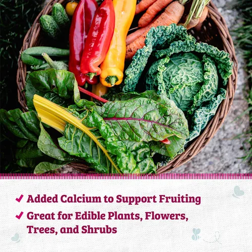 Vista 4 de Back to The Roots Harina de sangre 100% orgánica Fabricada en los EE. UU. Nutrición premium para jardinería de plantas de interior y exterior