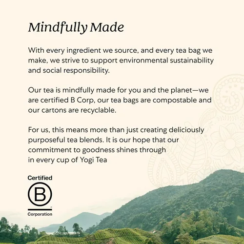 Vista 6 de Yogi Tea – Respirar profundo (6 unidades) – Apoya la salud respiratoria – 96 bolsas de té Mezcla respiratoria orgánica con raíz de regaliz, hoja