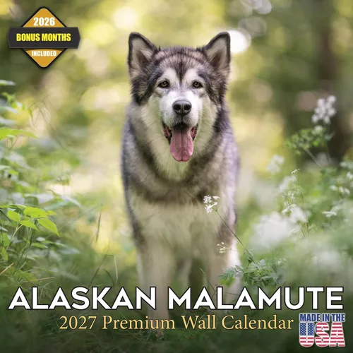 Vista 148 de Calendario de Lebrel Afgano 2025 2026, calendario mensual de pared de raza canina, 12" x 18" abierto, papel grueso sin traspaso, ideal para regalo
