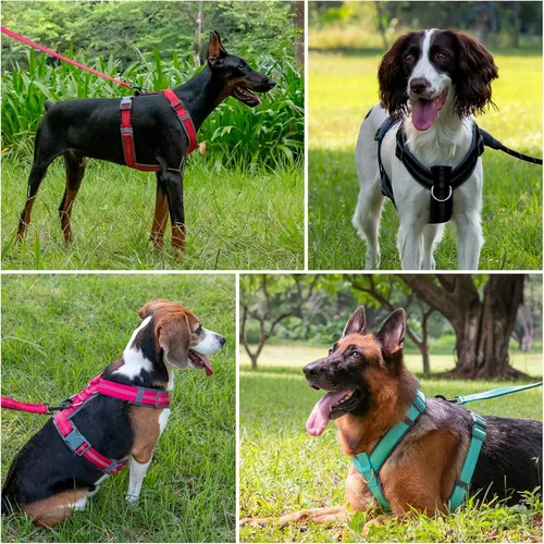 Vista 6 de Arnés para perro Plutus Pet sin tirón, arnés ajustable de nylon con acolchado suave, arnés para perro reflectante y resistente para perros pequeños