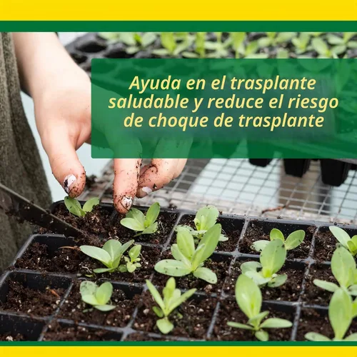 Vista 4 de SUPERthrive Plant Vitamin Solution, 1 cuarto de galón