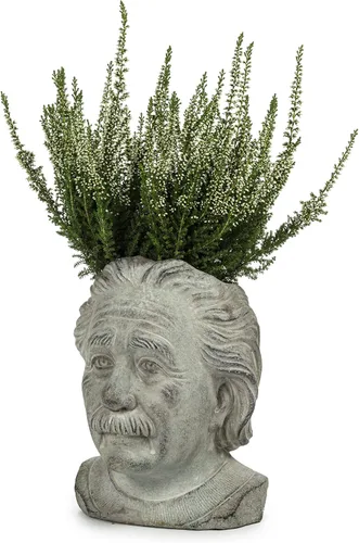 Vista 4 de Abbott Collection - Maceta pequeña con cabeza de Einstein, color gris (4 x 8 pulgadas)