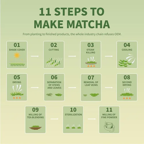 Vista 8 de TIAN HU SHAN Polvo de té verde Matcha 3.5 oz/100 g, Polvo de Matcha puro de grado culinario sin azúcar para latas, cocina, horneado, vegano 100%