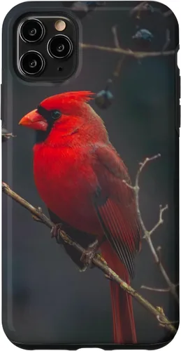 Vista 13 de Funda para iPhone 16 Cardinal Bird