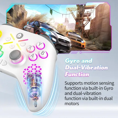 Vista 6 de LENISUOLE RGB Wired PC Controller for Windows PC 781011Steam PlatformConnecting to Xbox Consoles is Not Supported at this TimeBuilt-in Dual