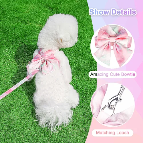 Vista 6 de PETCARE Lindo Juego de Arnés y Correa con Moño para Perro y Gato Elegante Arnés de Gradiente Arcoíris para Cachorros sin Tirones Arnés Suave de Rosa