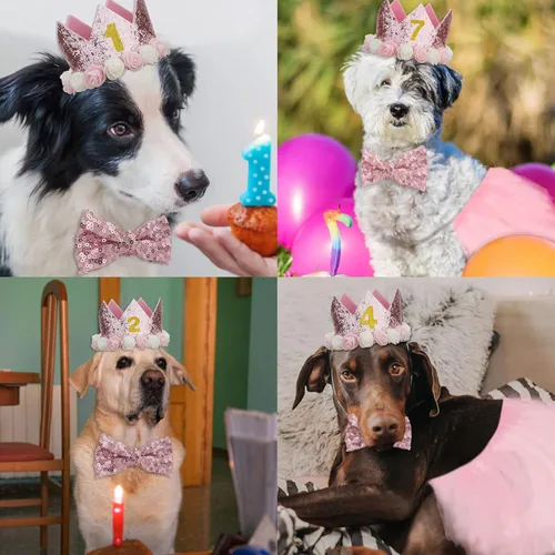 Vista 7 de CIEHER Suministros para fiesta de cumpleaños para perros – Falda tutú rosa, pajarita y números para perro