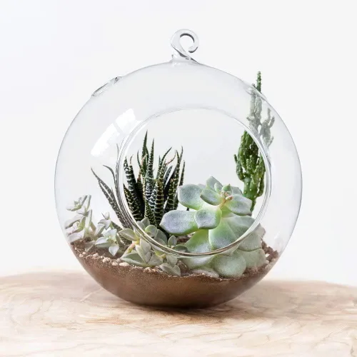 Vista 3 de Mkono Paquete de 5 macetas de vidrio colgantes para plantas de aire, decoración de terrario para suculentas, Tillandsia, portavelas