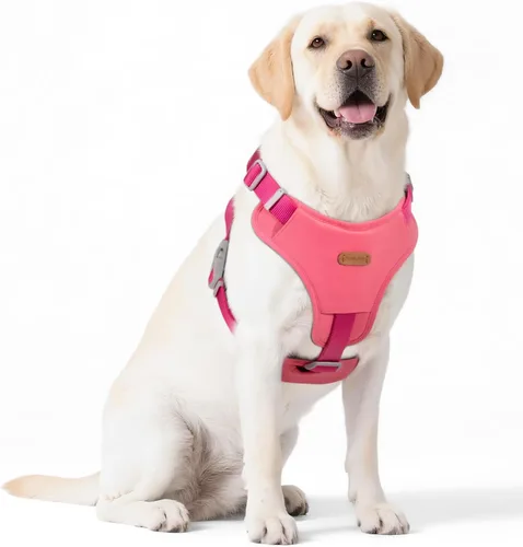 Vista 8 de Xlife Arnés para perros y gatos pequeños, arnés de chaleco ajustable sin tirones con hebilla de seguridad y anillo en D sin asfixia, fácil de poner