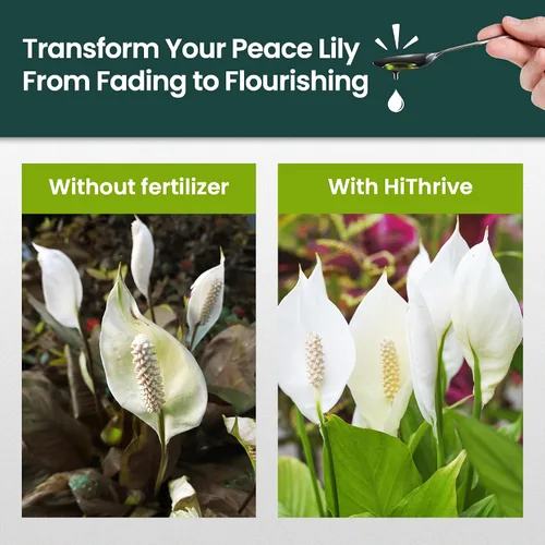 Vista 3 de Fertilizante líquido para plantas de lirio de la paz de 16oz - Produce 96 galones de fertilizante para lirio de la paz - Alimento líquido rico