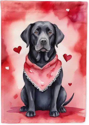 Vista 65 de Caroline's Treasures DAC5252GF Affenpinscher - Bandera de jardín con texto en inglés "My Valentine", bandera decorativa para patio exterior, patio