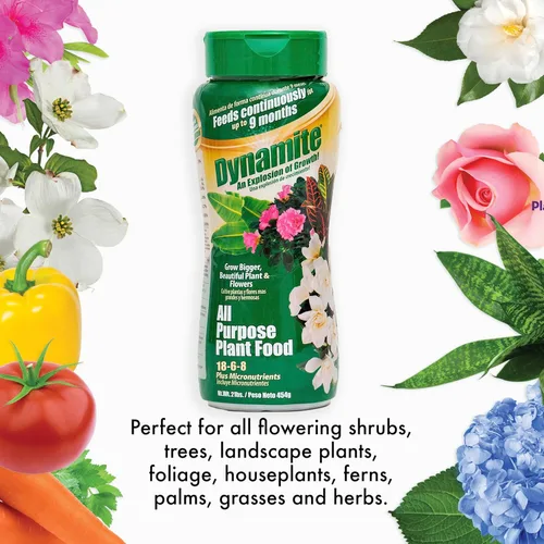Vista 4 de Dynamite - Alimento vegetal multiusos de 9 meses de 2 libras