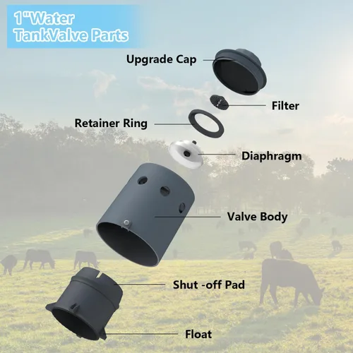 Vista 6 de Válvula de flotador de 1" para tanque de agua, Válvula de control automático de nivel de agua, Válvula de llenado de alto flujo para tanque