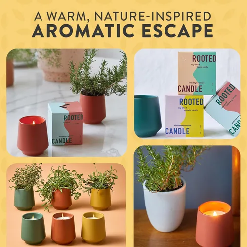 Vista 5 de Modern Sprout Rooted Candle - Vela perfumada de madera de cedro 2 en 1 y soja con semillas que crece en planta de lavanda, 6 onzas con 42 horas