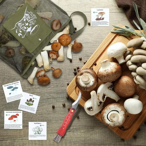 Vista 4 de Seajan Kit de Forraje de Setas de 18 Piezas con Bolsa de Caza, Cuchillo, Cepillo, Tarjetas Guía y Cuaderno para Amantes de las Setas (Verde Ejército)