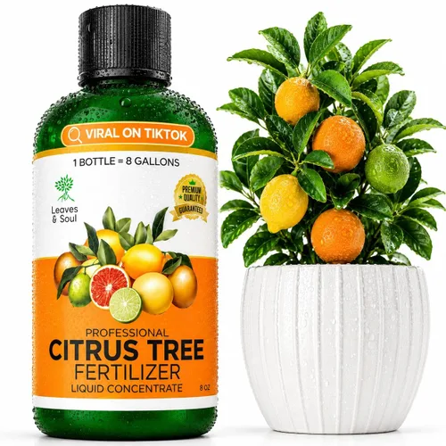 Vista 14 de Leaves & Soul Evergreen Tree Fertilizer, 6-4-6 Liquid Evergreen Food 8 oz Árbol de hoja perenne