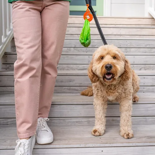 Vista 3 de Soporte para bolsa de excrementos de perro para correa, transportador de bolsas de excremento de perro usado, accesorio manos libres, se fija a