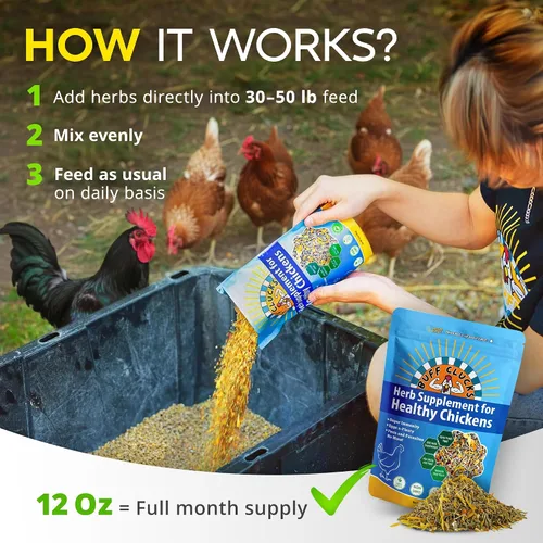 Vista 4 de Buff Clucks Suplemento de Hierbas para Pollos de Traspatio - Golosinas Naturales para Pollos, Mezcla Botánica de Alimento para Aves de Corral
