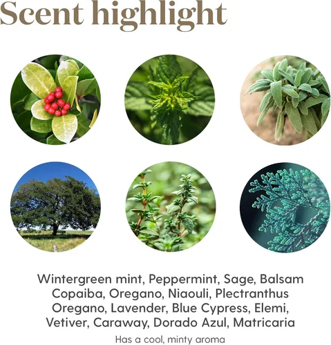 Vista 8 de Young Living Cool Azul Crema para aliviar el dolor, mezcla refrescante de mentol con aceites esenciales de gaulteria y menta, aroma vigorizante