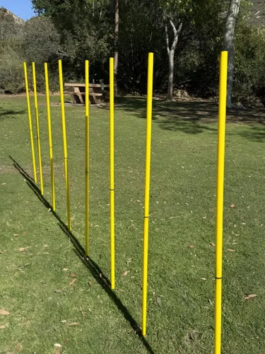 Vista 7 de BlueDot Trading Bastones de entrenamiento de velocidad de agilidad de fútbol multideporte, fijos, ajustables o plegables (juegos de 4, 6, 8 piezas)