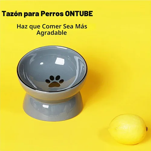 Vista 3 de ONTUBE Cuenco elevado de cerámica para gatos, 10 oz (gris)