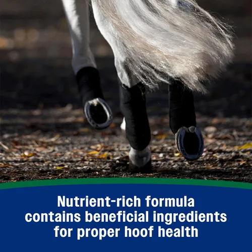Vista 7 de Farnam Horseshoer's Secret - Suplementos de biotina y pezuñas peleadas, fórmula rica en nutrientes con aminoácidos y ácidos grasos, minerales