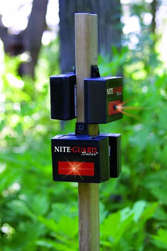 Vista 2 de Nite Guard lámpara solar para control de depredadores, 4