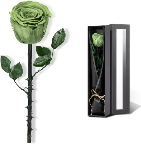 Vista 10 de Flores para Entrega Prime, Rosas Preservadas Regalos de Flores para Mujeres, Rosas Reales Regalos de Rosa Individual para Ella, Regalos