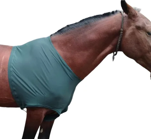 Vista 7 de Majestic Ally Protector de hombro de caballo de elastano/elastano elástico en 4 direcciones para y protección, grande, color negro