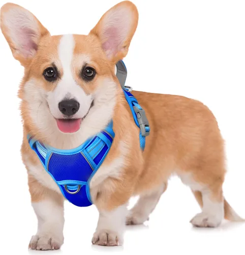 Vista 99 de BARKBAY Arnés para Perro Sin Tirones Talla Grande Arnés Reflectante para Perro con Clip Frontal y Asa de Control Fácil para Caminar Entrenar Correr