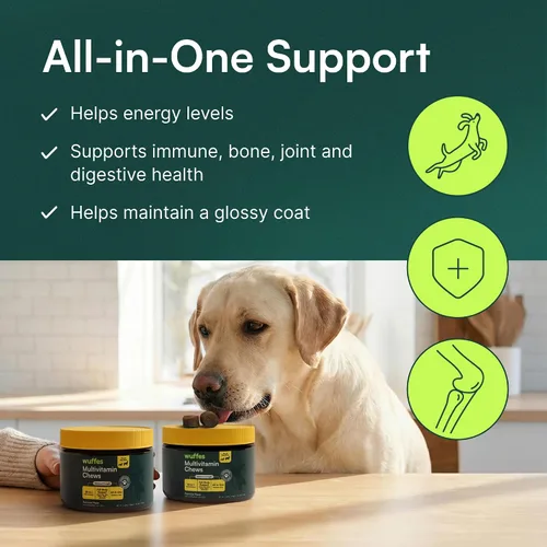 Vista 6 de Wuffes Suplemento multivitamínico para perros 23 en 1 para cadera y articulaciones, piel, pelaje y apoyo del sistema inmunológico con Omega 3