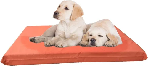 Vista 10 de Cama para perros de espuma viscoelástica con infusión de gel de alta densidad con funda externa duradera impermeable para todo tipo de clima